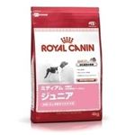 ROYAL CANINiCJij SHN~fBAWjA4Kg ihbOt[hj yybgpiz