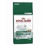 ROYAL CANINiCJij SHN~jCg 2Kg ihbOt[hj yybgpiz