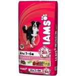 P＆Gジャパン アイムス 成犬用ラム＆ライス 5kg 【ペット用品】