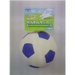 【訳あり・在庫処分】スーパーキャット SC わんわんサッカー 青 【ペット用品】