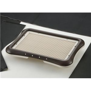 リッチェル RC しつけ用ステップトレー レギュラー 茶 【ペット用品】