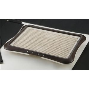 リッチェル RC しつけ用ステップトレー ワイド 茶 【ペット用品】