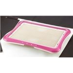リッチェル RC しつけ用ステップトレー ワイド ピンク 【ペット用品】