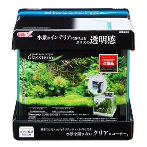 ジェックス グラステリアキューブ 200セット 【水槽用品】 【ペット用品】