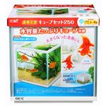 ジェックス 金魚元気キューブセット250 【水槽用品】 【ペット用品】