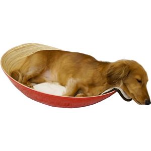 ドギーマンハヤシ わんこのぼうる 【ペット用品】