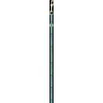 ADD シンボルリード XS・SS 【リード】【ペット用品】