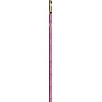ADD シンボルリード XS・SS 【リード】【ペット用品】