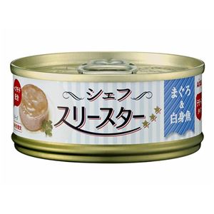 （まとめ）アイシア シェフ スリースター テリーヌ 白身魚60g 【猫用・フード】【ペット用品】【×48セット】