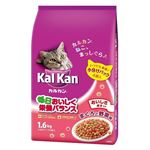 （まとめ）KDN22カルカンドライまぐろと野菜1.6k 【猫用・フード】【ペット用品】【×6セット】