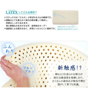ebNX ze^Cv摜Q