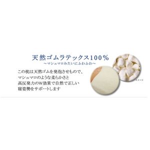 ebNX ze^Cv摜R