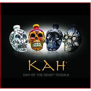 yeL[z J[ XJ  fL^ Alz 750ml 40x KAH ANEJO SKULL Tequila摜Q