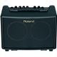 Roland�i���[�����h�j �A�R�[�X�e�B�b�N�E�M�^�[��p �A���v Acoustic Chorus AC-33�摜�ŏ��P