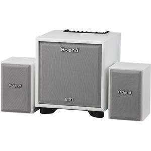 【訳あり・在庫処分】【訳あり商品：1度開梱済み・箱ダメージあり】Roland（ローランド） CM-110-WH キューブモニター ホワイトカラー