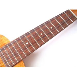 famousitFC}Xj FS-5G摜S