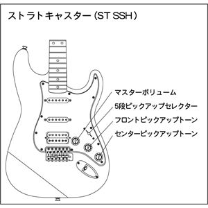 Fender JapanitF_[Wpj ST-STD^SSH 3TS^R摜Q