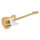 Fender JapanitF_[Wpj TL-STD BLD摜ŏP
