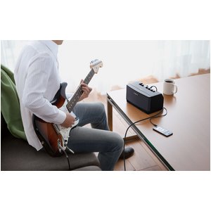 Rolandi[hj CUBE Lite Guitar Amplifie CUBE-LT-RD摜S