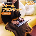 LIVINGSTYLE（リビング スタイル） ウォームブランケット ブラウン USB＆シガーソケットタイプ UB-139（D）
