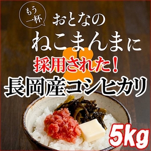 平成21年産 中村さんちの新潟県長岡産コシヒカリ5kg