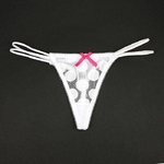 セクシーランジェリー 2011新作 【美品】Tバックショーツ