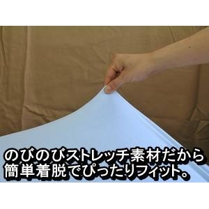 TCYɔY܂Ȃ Xgb`xbhpBOXV[c LFi_u`LOj sN摜Q