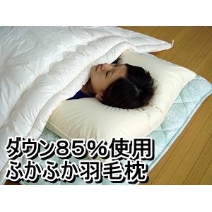_E85%gpӂӂHі TCY摜Q