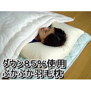 _E85%gpӂӂHі TCY摜Q