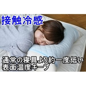 ڐG⊴EzfށuZ(R)vgp@Ks[pbh(43~63cmp)@sN摜Q