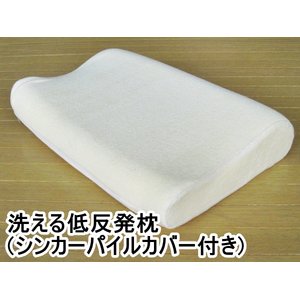 􂦂ᔽ(VJ[pCJo[t)@30~45cm@AC{[摜1