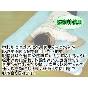 ȃpCEȁ@zTbƕ~pbg@Z~_uAC{[摜Q