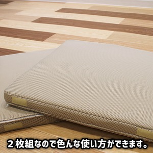 超軽量極薄クッション「ルナエアーcolors」(同色2枚組)　ベージュ