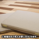 超軽量極薄クッション「ルナエアーcolors」(同色2枚組)　ベージュ