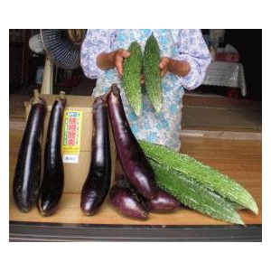 �A���Ɋ��͂�^����y�f NT�y�f8 200ml �{�g��