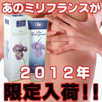 プエラリア配合！ビューティーブレストクリーム　マックスエストロゲン【3本セット】