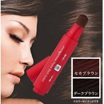 シラガネーゼ　部分用白髪隠し（トリートメント染毛料）　モカブラウン