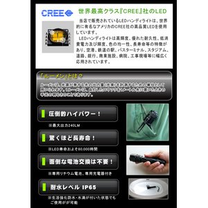 y240[zCREEАLEDgpI[dLEDnfBCg Nbvtidj CREE-WF502B摜4