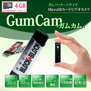 ymicroSDJ[h4GBZbgz Nbvt ^rfIJ 2000K摜1