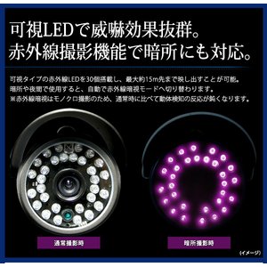 ymicroSDJ[h16GBZbgz fW^R[_[sv@ԊO/hHdl@[VT[`hƃJ摜4