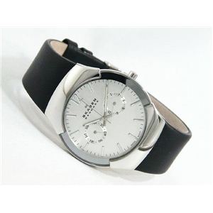 SKAGEN（スカーゲン） 腕時計 スイスムーブ 583XLSLC