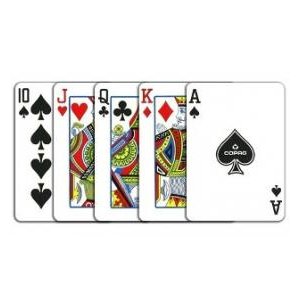 COPAG RpbO 1546O[Eo[KfB [ubWTCY]摜S