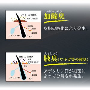 <jp\[v>fIhubN摜Q