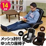 14段階リクライニングゆったり座椅子 メッシュ肘付き(クッションカバー付) ブラウン 【完成品】