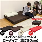 【時間指定不可】HSW-L01BK （9.7）コンパクト 脚付マットレス ロータイプ シングル BK