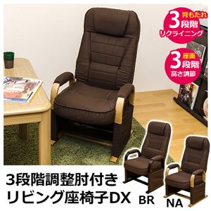 S3-02BR （7）3段階調整肘付き リビング座椅子DX BR