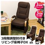 S3-02NA （7）3段階調整肘付き リビング座椅子DX NA