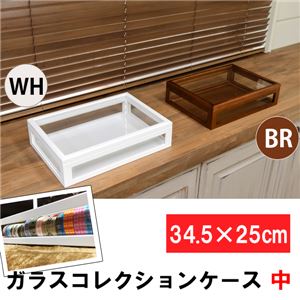 LZ-03BR （0.7）ガラスコレクションケース 中 BR 【1台】