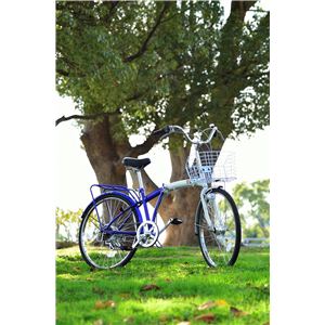 TOY（トイ） 24インチ ノーパンク折り畳み自転車 ブルーホワイト MG-TY246N