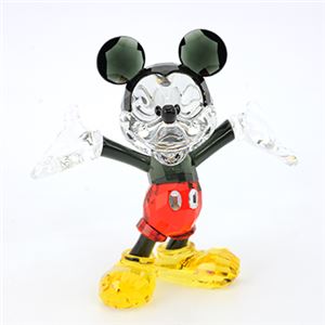 Swarovski（スワロフスキー） 1118830 アクセサリー